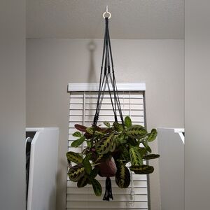 Hanging Macrame Plant Holder with Green and Red Leaves